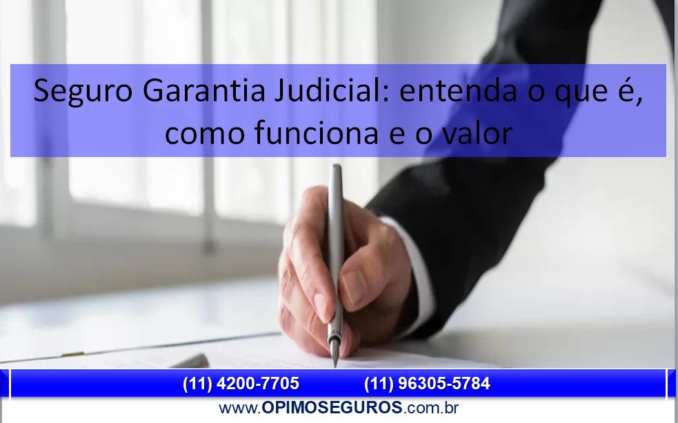 Seguro Garantia Judicial: entenda o que é, como funciona e o valor